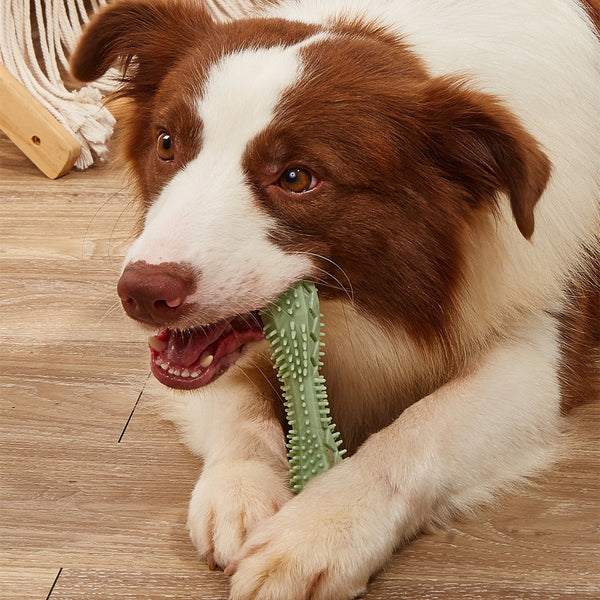 Dog Chew Toy – Teeth Cleaning & Anxiety Relief for Puppies
