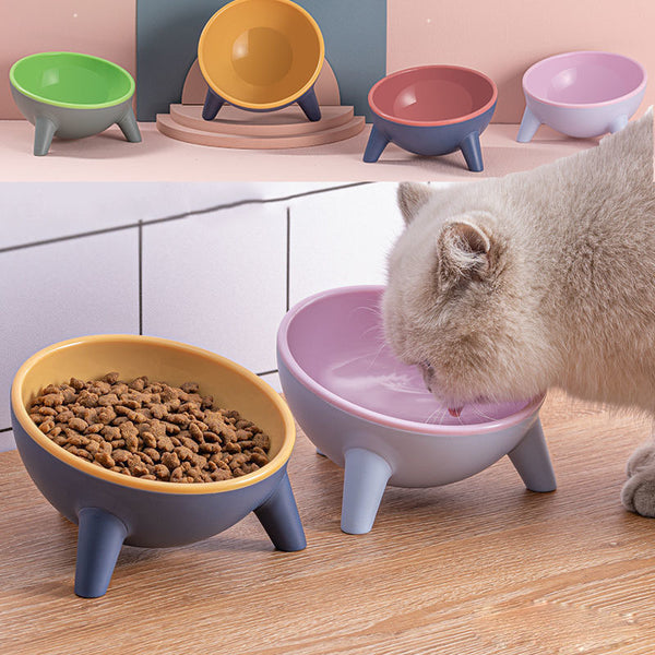 Tilted Pet Feeding Bowl with Stand – Anti-Slip Food & Water Bowl for Cats, Dogs & Rabbits