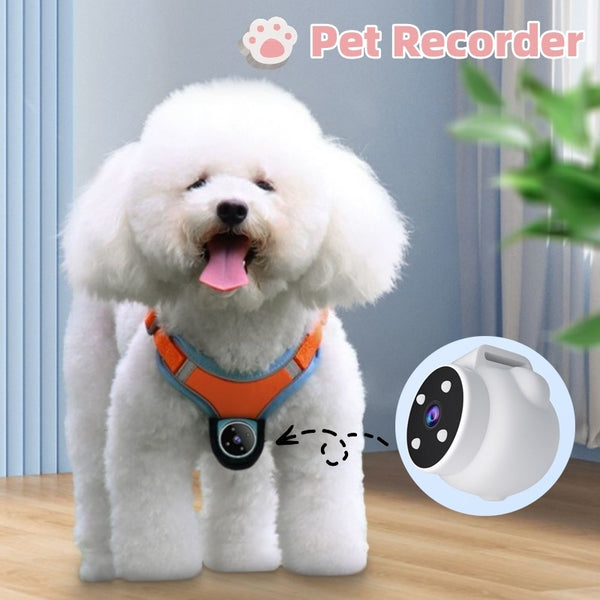 Pet Camera Collar with GPS – 170° Action Recorder for Dogs & Cats