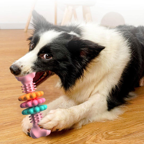Indestructible Dog Chew Toy – TPR Bone for Teeth Cleaning & Anxiety Relief | Tough & Bite-Resistant